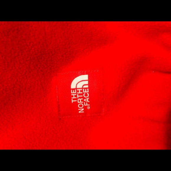 Supreme The North Face Trans Antarctica Polartec L - Picture 3 of 8